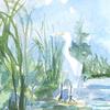 Egret Florida Swamps
watercolor
7" x 5"
$330