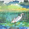 Marsh White Bird
watercolor
12" x 6"
$350