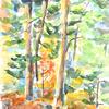 Woods - Natick
watercolor
$290