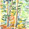 Woods - Natick
watercolor
$290