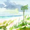 Hawaii Beach
watercolor
7" x 5"
$120