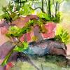 Dingman Point - River Rocks
watercolor
4" x 6"
$65